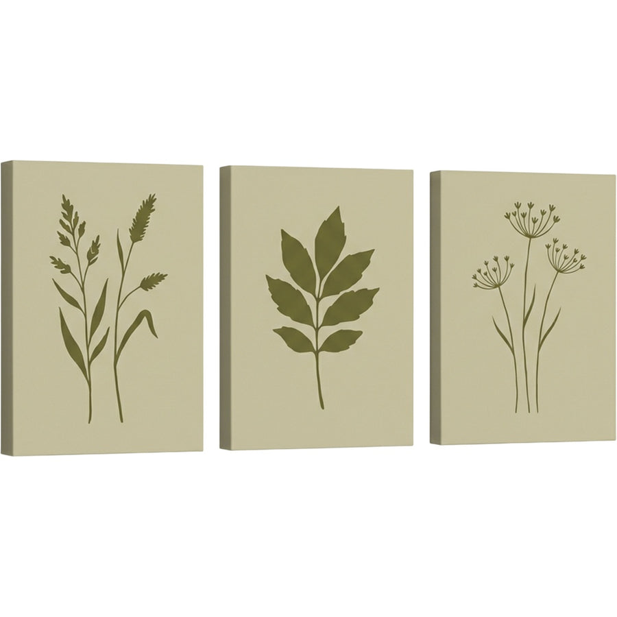 Plzgw Botanical Silhouette Triptych Canvas Set Olive